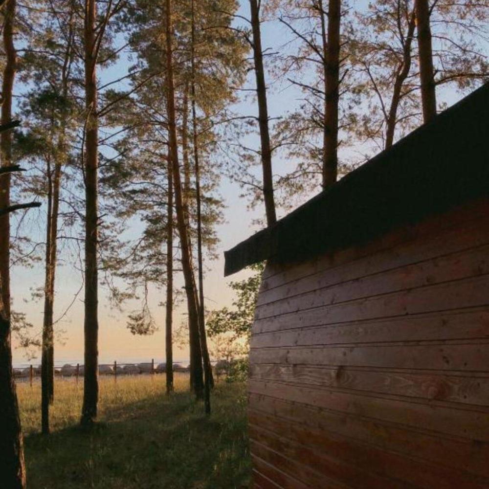 Сёрф-станция Wind Hunters Station (Винд Хайнтерс Стейшен) - Сосновый Бор,  побережье Финского залива, пляж: цены 2024, фото и отзывы