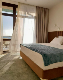 Рони Шелтер