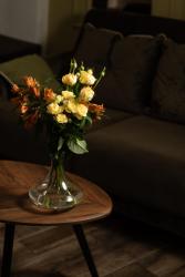 SoleMio (СолеМио)