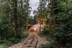 Вили Улей Ока