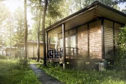 Фореста Фестиваль Парк