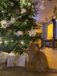 Бизнес-отель Address (Адрес)