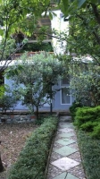 Лазаревское Гостевой дом «Сосны» фото