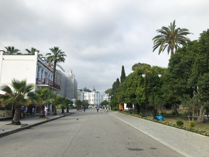 Что посмотреть в Абхазии весной