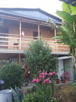 Гостевой дом «Бамбук»
