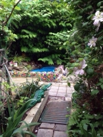 Курортное, Пер. Новоселов, 9