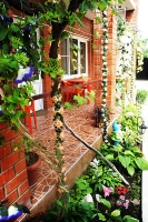 Дивноморское, Гостевой дом «Жемчужина» Ул. Партизанская, 20