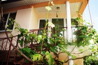 Дивноморское Гостевой дом «Жемчужина» отзывы