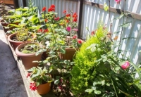 Гостевой дом «Валерий» фото 9