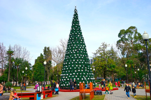 Чем заняться на Новый год в Абхазии 2025