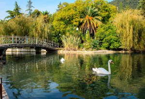 Парки и заповедники Абхазии