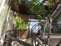 Гагра, Званба, 16