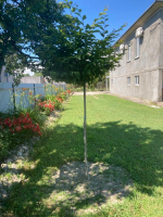 Гостевой дом ул.Школьная, 23